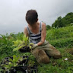 Meet your Posher, Driftless